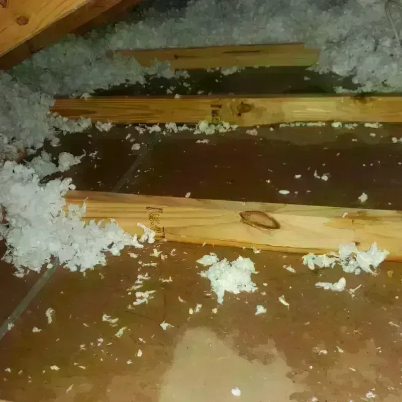 Attic Water Damage in Upton County, TX